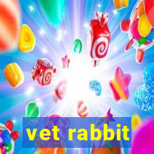 vet rabbit